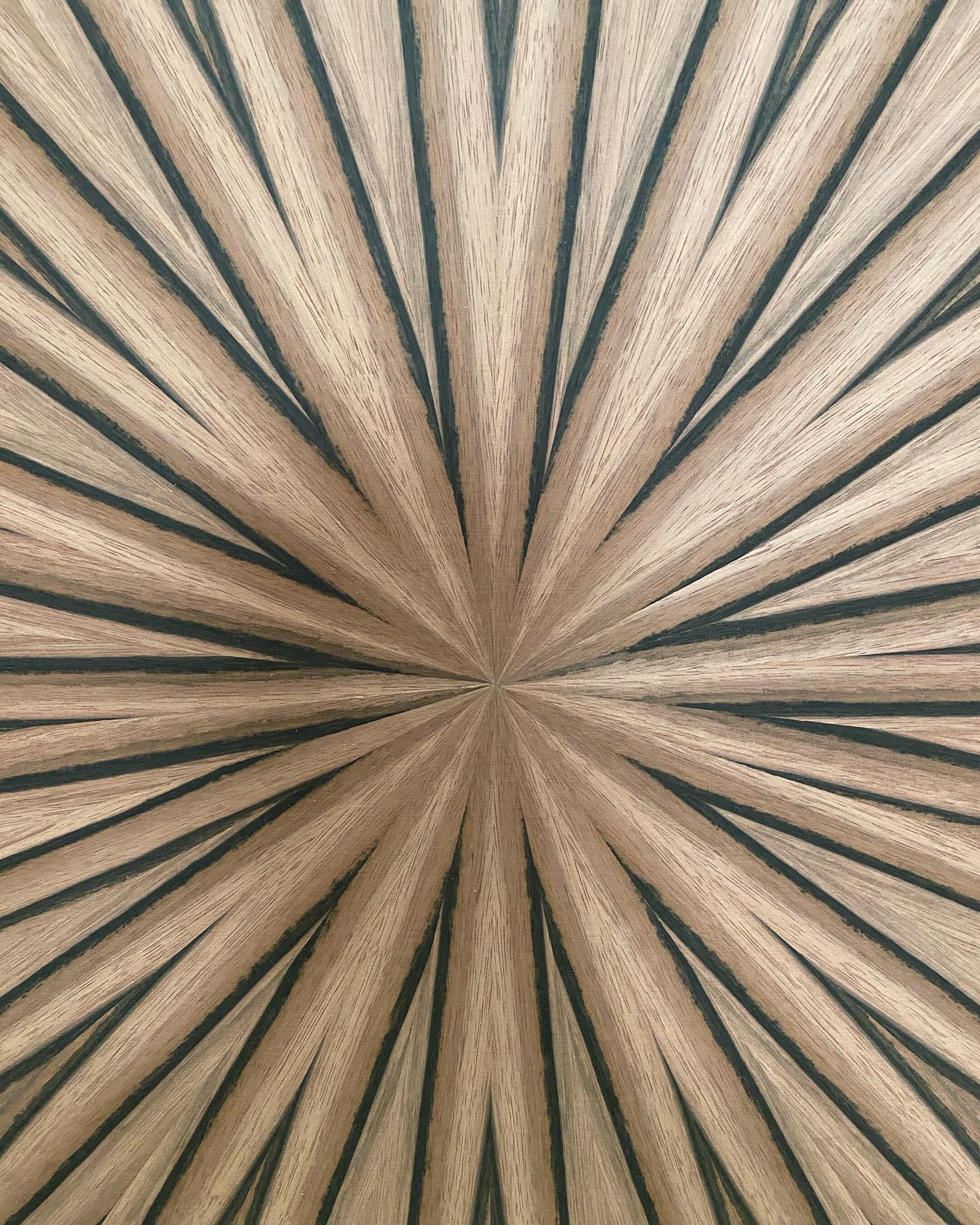A sunburst veneer match, dozens of leaves radiating from a single centre
